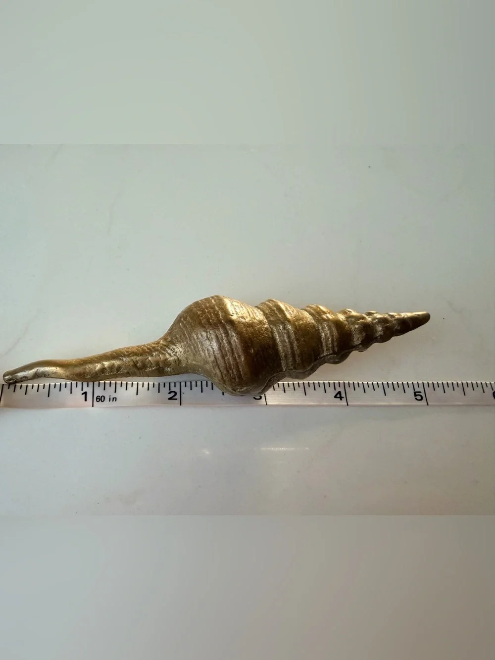 Brass Cottage Core Decorative Shell Home Accent